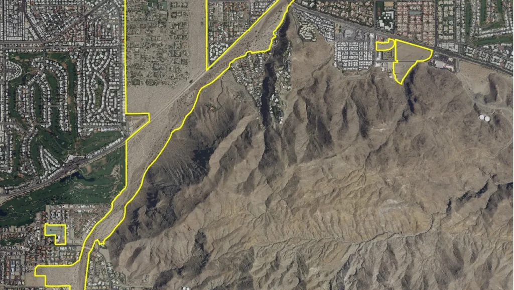 caseysjunebeetle.com